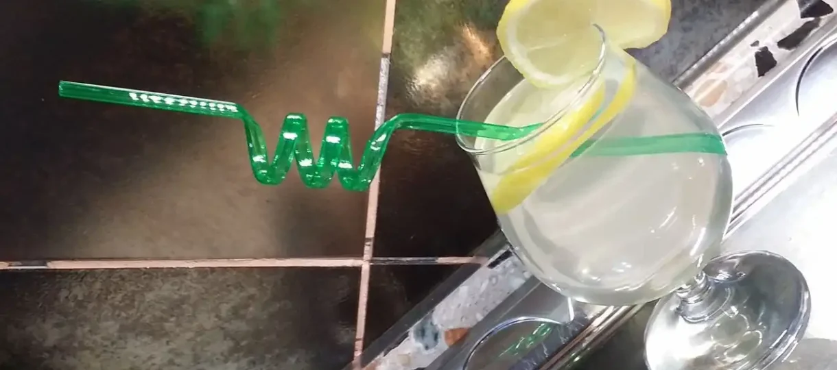 Sok od zove – napitak za svaki dan