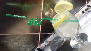 Sok od zove – napitak za svaki dan 1- Istaknuta slika