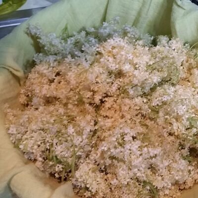 Sok od zove – napitak za svaki dan | zadnij proces pripreme | Postupak 3 | Slika 2/3