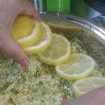 Sok od zove – napitak za svaki dan | Priprema soka | Postupak 2 | Slika 3/4