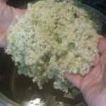 Sok od zove – napitak za svaki dan | Priprema soka | Postupak 2 | Slika 1/4