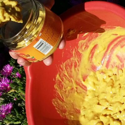 Paprika u senfu | Punjenje u tegli | Postupak 3 | Slika 1/3