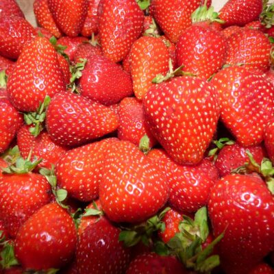 Džem od jagoda sa džemfixom | Priprema jagoda za džem | Postupak 1 | Slika 1/3