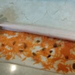 Pita sa bundevom | Motanje pite i pečenje | Postupak 3 | Slika 1/4