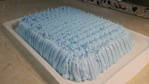 Kremasta torta sa plazma keksom 1