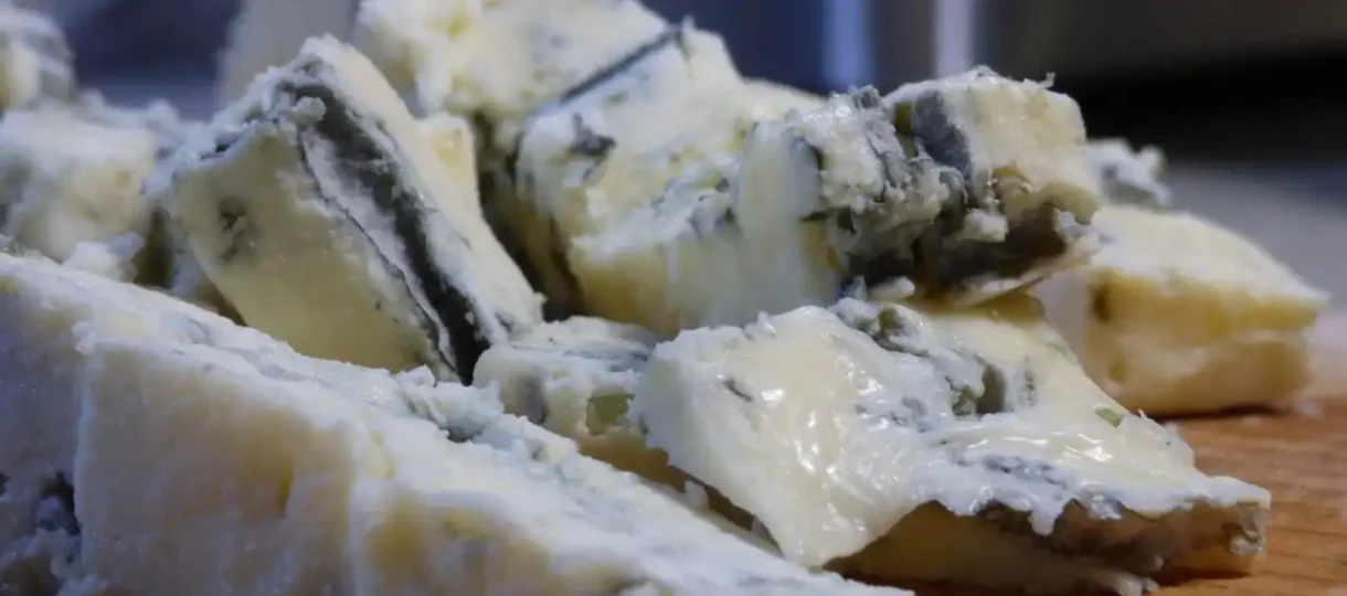 Špageti u gorgonzola sosu