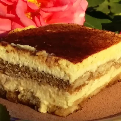 Slika vezana za Tiramisu – Italijanski klasik 1