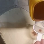 Tiramisu – Italijanski klasik | Ređanje tiramisua | Postupak 3 | Slika 8/12