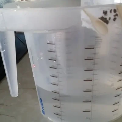 Domaće lepinje – tradicional domaće kuhinje | Priprema kvasca | Postupak 1 | Slika 2/2