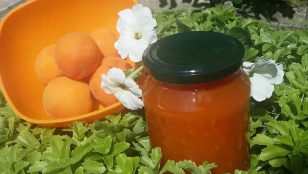 Džem od kajsija 14 | Istaknuta slika 1/5 | Prirodan, ukus, slatkih, kajsija, koji, je, postao, tradicija, u, svakom, špajzu