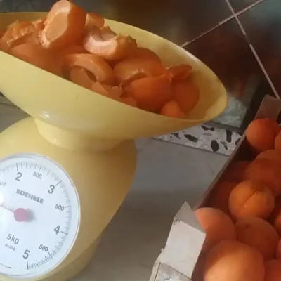 Džem od kajsija | Priprema kajsija | Postupak 1 | Slika 2/3