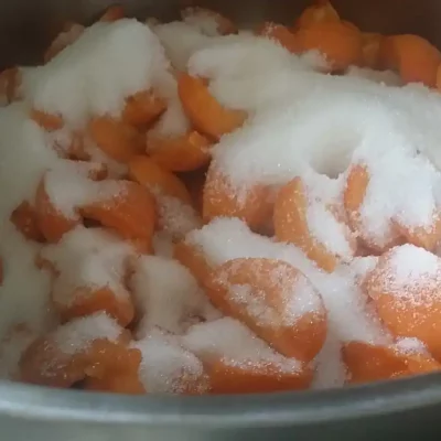 Džem od kajsija | Priprema džema | Postupak 2 | Slika 1/2