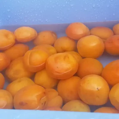 Džem od kajsija | Priprema kajsija | Postupak 1 | Slika 1/3