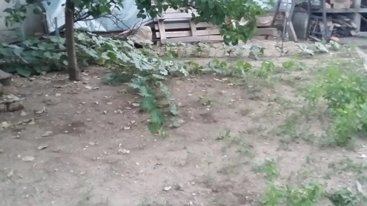 Bundeva – 10 zdravstvenih učinka i kulinarski izazov 4 | Istaknuta slika 27/30 | Bundeva, kao, čuvar, zdravlja:, Bundeva, za, ubrzanje, metabolizma, Bundeva, za, dobar, vid, Lepa, i, čista, koža, zahvaljujući, bundevi, Zdravo, srce, uz, pomoć, bundeve
