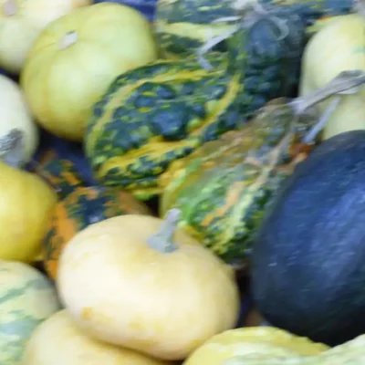 Bundeva – 10 zdravstvenih učinka i kulinarski izazov 8 | Istaknuta slika 23/30 | Bundeva, kao, čuvar, zdravlja:, Bundeva, za, ubrzanje, metabolizma, Bundeva, za, dobar, vid, Lepa, i, čista, koža, zahvaljujući, bundevi, Zdravo, srce, uz, pomoć, bundeve
