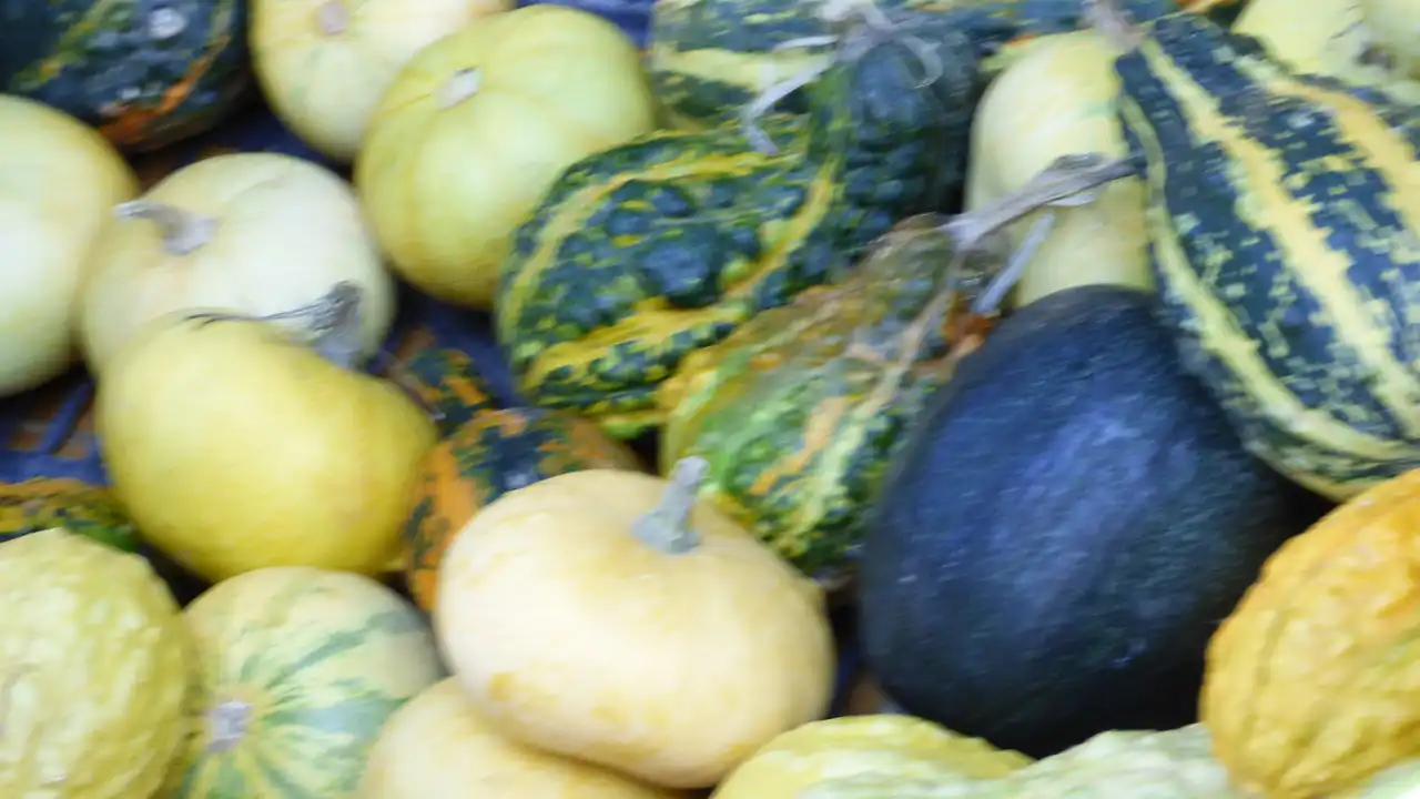 Bundeva – 10 zdravstvenih učinka i kulinarski izazov 8 | Istaknuta slika 23/30 | Bundeva, kao, čuvar, zdravlja:, Bundeva, za, ubrzanje, metabolizma, Bundeva, za, dobar, vid, Lepa, i, čista, koža, zahvaljujući, bundevi, Zdravo, srce, uz, pomoć, bundeve