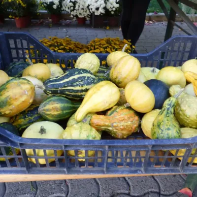 Bundeva – 10 zdravstvenih učinka i kulinarski izazov 9 | Istaknuta slika 22/30 | Bundeva, kao, čuvar, zdravlja:, Bundeva, za, ubrzanje, metabolizma, Bundeva, za, dobar, vid, Lepa, i, čista, koža, zahvaljujući, bundevi, Zdravo, srce, uz, pomoć, bundeve