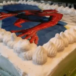 Torta čoko-moko sa malinama | Ukrašavanje torte | Postupak 5 | Slika 5/6