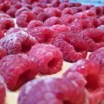 Torta čoko-moko sa malinama 18 | Istaknuta slika 3/4 | Osvežavajući, spoj, slatkog, i, kiselkastog, ukusa