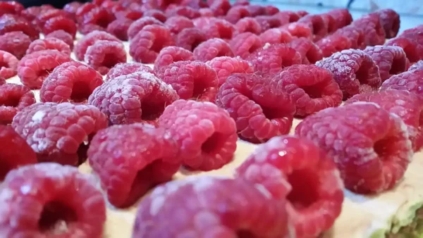 Torta čoko-moko sa malinama 18 | Istaknuta slika 3/4 | Osvežavajući, spoj, slatkog, i, kiselkastog, ukusa