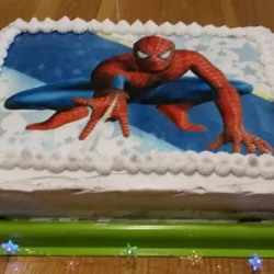 Torta čoko-moko sa malinama 9