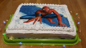 Torta čoko-moko sa malinama 9