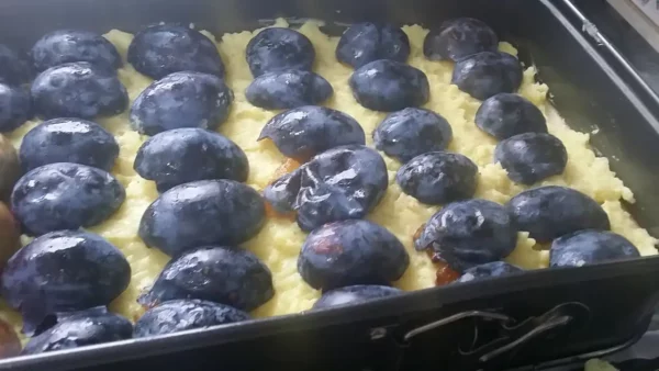 kolac sa sljivama i pudingom 15 | Istaknuta slika 3/4 | Šljive, zrele, koru, dele, puding, grli, kolač, priču, staru, deli