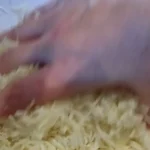 Kupus salata na banatski način | Priprema kupusa | Postupak 1 | Slika 6/6