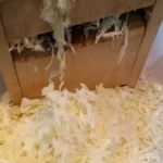 Kupus salata na banatski način | Priprema kupusa | Postupak 1 | Slika 3/6