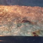 Pileće šnicle sa 4 vrste sira | Serviranje mesa | Postupak 4 | Slika 2/7