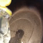 Svinjski but iz rerne | Mariniranje mesa | Postupak 2 | Slika 1/7