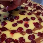 Mramorni kolač sa višnjama | Ređanje višanja | Postupak 5 | Slika 5/7