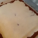 Plazma rolat sa kokosom 7 | Istaknuta slika 3/4 | Dekorativno, ukusno, a, jednostavno