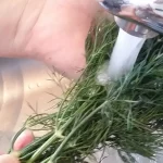 Sos od mirođije 18 | Istaknuta slika 3/4 | Aromatičan, kremast, a, pri, tom, i, odličan, prilog, uz, razna, jela