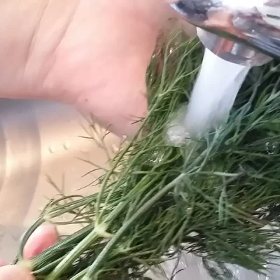 Sos od mirođije | Priprema sveže mirođije | Postupak 1 | Slika 1/3