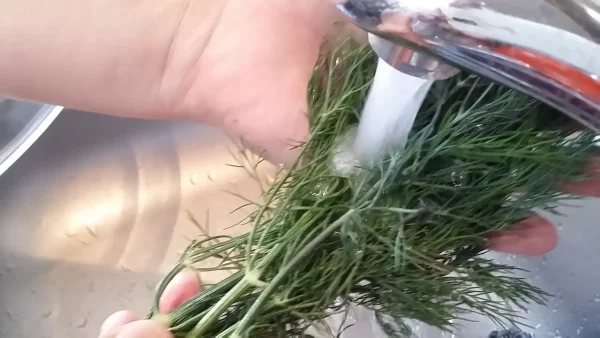 Sos od mirođije 18 | Istaknuta slika 3/4 | Aromatičan, kremast, a, pri, tom, i, odličan, prilog, uz, razna, jela