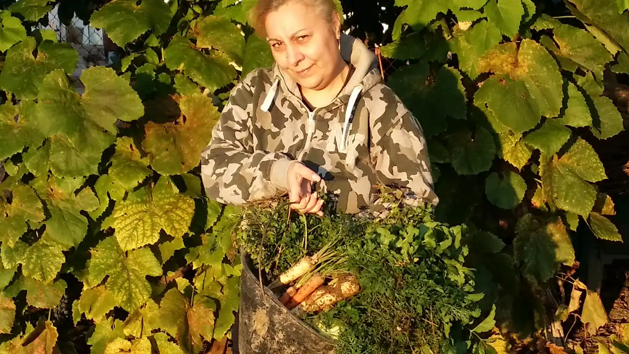 7 raznih priprema šargarepe i zdravstvene prednosti