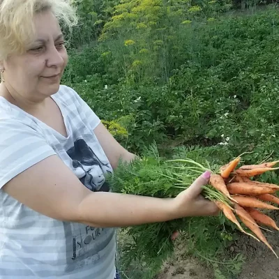 7 raznih priprema šargarepe i zdravstvene prednosti 12 | Istaknuta slika 5/5 | 