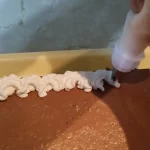 Rozen torta sa Milka čokoladom | Ređanje torte | Postupak 5 | Slika 8/9