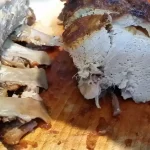 Svinjska krmenadla u komadu iz rerne | Serviranje  | Postupak 5 | Slika 6/7