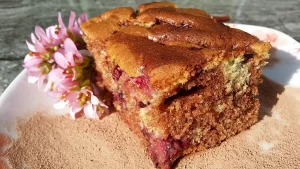 Mramorni kolač sa kupinama- Istaknuta slika