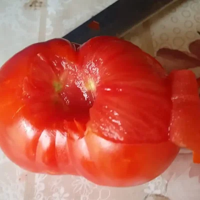 Domaći kuvani paradajz | Priprema paradajza | Postupak 2 | Slika 2/3