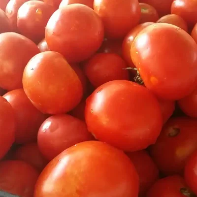 Domaći kuvani paradajz | Priprema paradajza | Postupak 2 | Slika 3/3