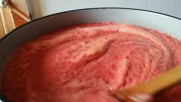 Domaći kuvani paradajz 9 | Istaknuta slika 3/4 | Ključni, sastojak, za, sosove, i, čorbe