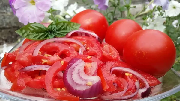 Salata od paradajza i crvenog luka 2 | Istaknuta slika 1/4 | Klasična, osvežavajuća, savršena, za, tople, dane