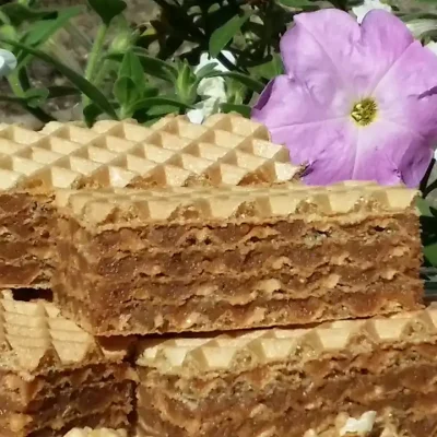 Oblatne sa čokoladom i keksom | Serviranje | Postupak 5 | Slika 3/3