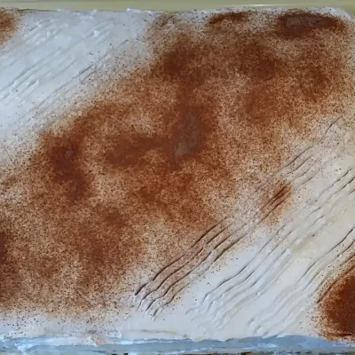 Torta Šeherzada iz 1001 noći | Serviranje | Postupak 7 | Slika 1/3