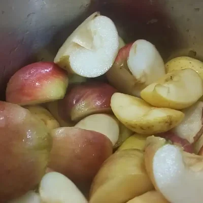 Domaći pire od jabuka | Kuvanje jabuka | Postupak 3 | Slika 1/3