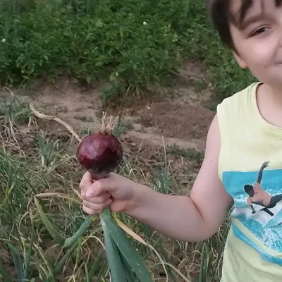 Luk i 7 prijateljskih saveta za svaki dan 13 | Istaknuta slika 1/8 | 