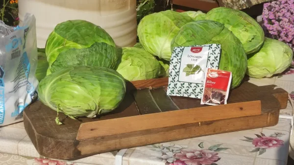 Tradicionalni kiseli kupus za zimnicu 1 | Istaknuta slika 4/4 | Od, tatinih, noževa, do, podrumskog, zlata, kiseli, čuvar, leta, za, hladne, dane